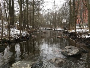 Steiner i Akerselva gir bedre habitat for fisk og kreps